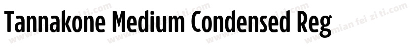 Tannakone Medium Condensed Regular字体转换
